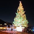 函館港口超級超級聖誕的耶誕樹