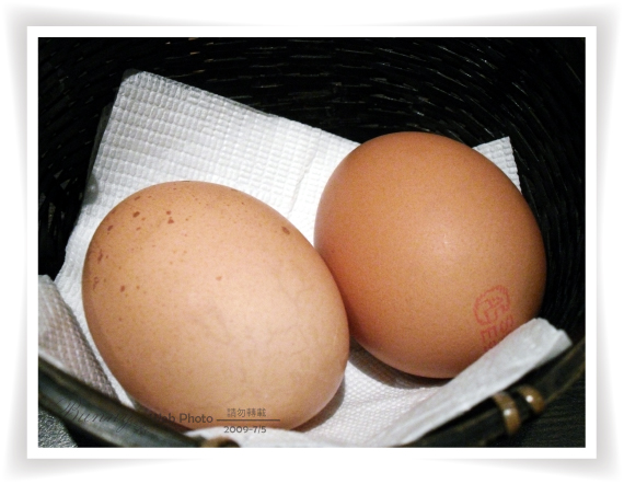 有機蛋.jpg