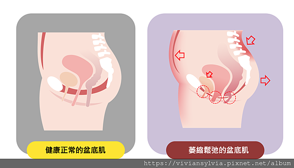 截圖 2021-08-27 下午4.02.19