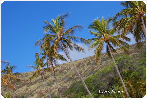 Hanauma Bay-4(online).jpg