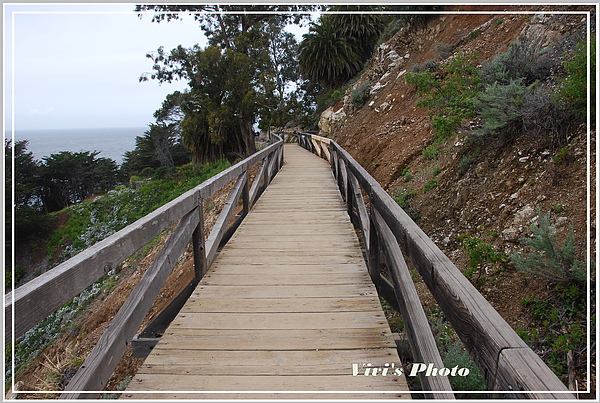 Julia Pfeiffer Burns State Park-4.jpg