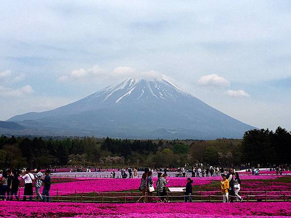 富士山4