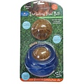 EVERLASTING PET TREAT BALL.jpg