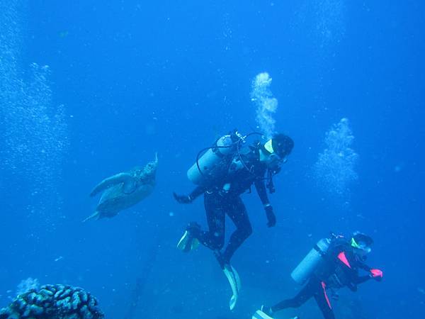 IMG_6085.JPG IMG_6085.JPG