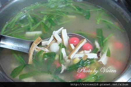 DSC00602 (copy).JPG DSC00602 (copy).JPG
