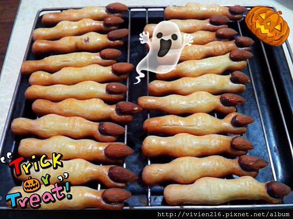 12095229_1191977010817604_5377459111386360716_o