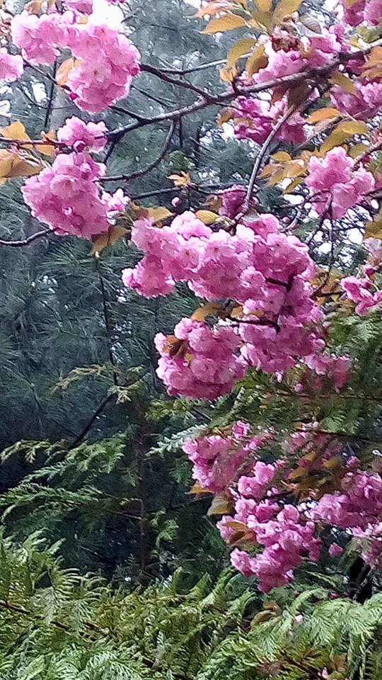 月明洞-賴敬01.jpg 月明洞-賴敬01.jpg