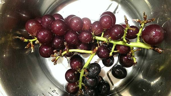 攝理教 果汁04.jpg 攝理教 果汁04.jpg