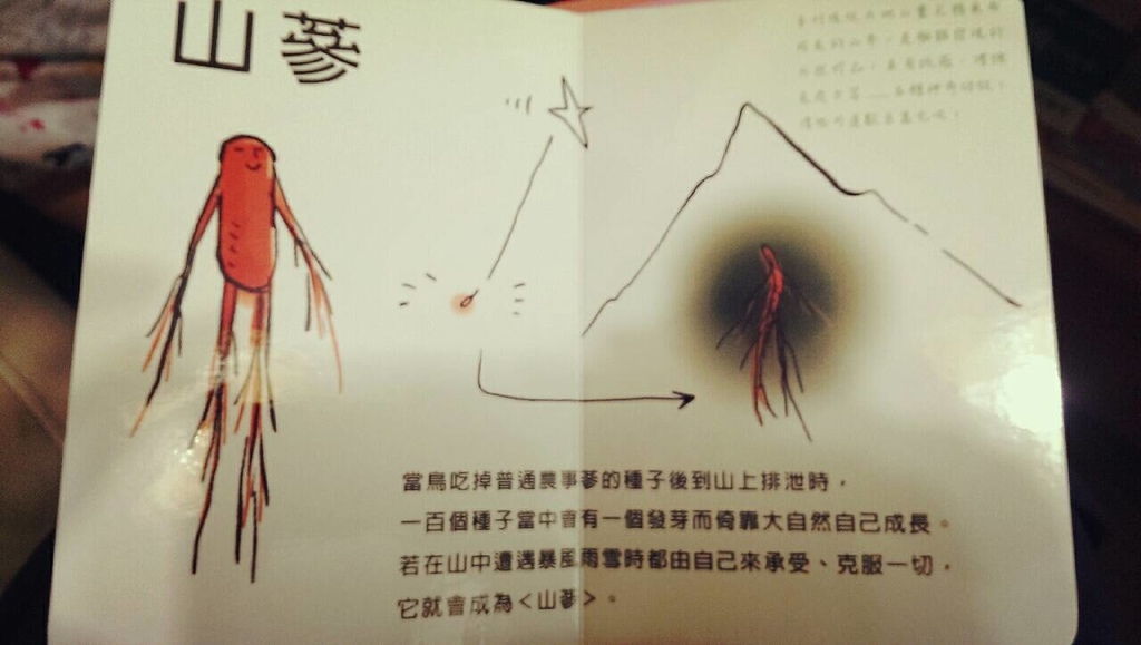 攝理教 人蔘的故事 02.jpg 攝理教 人蔘的故事 02.jpg