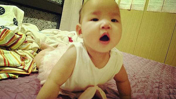 160699.jpg 160699.jpg