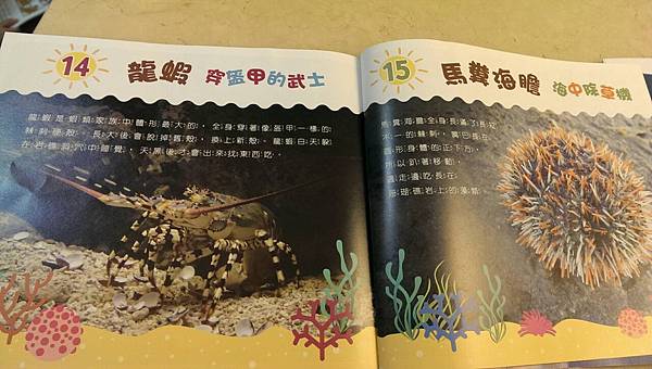 攝理教 小行星11.jpg 攝理教 小行星11.jpg