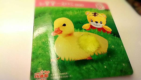 攝理教 巧虎06.jpg 攝理教 巧虎06.jpg