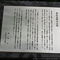 2011の春 (47).JPG