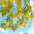 DSCF2787.JPG