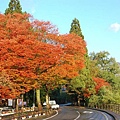 田澤湖清晨