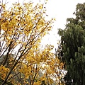 _MG_3508.jpg