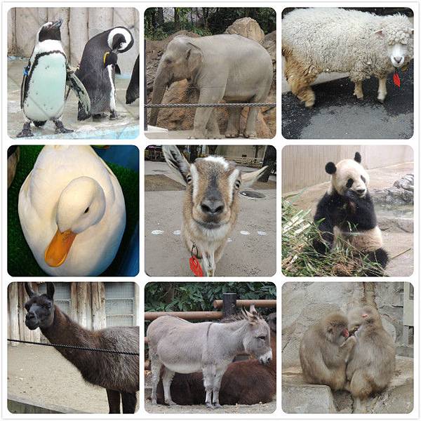 上野動物園.jpg