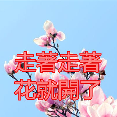 走著走著，花就開了