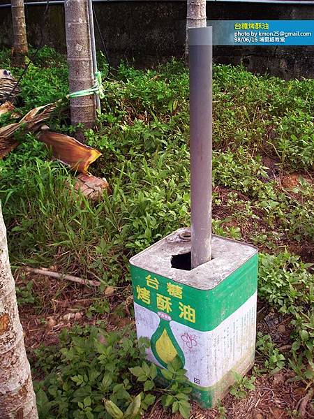 台糖烤酥油.jpg