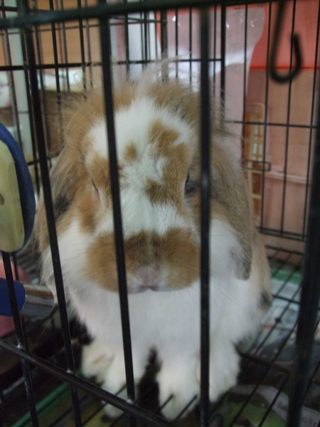 DSCF7057.jpg