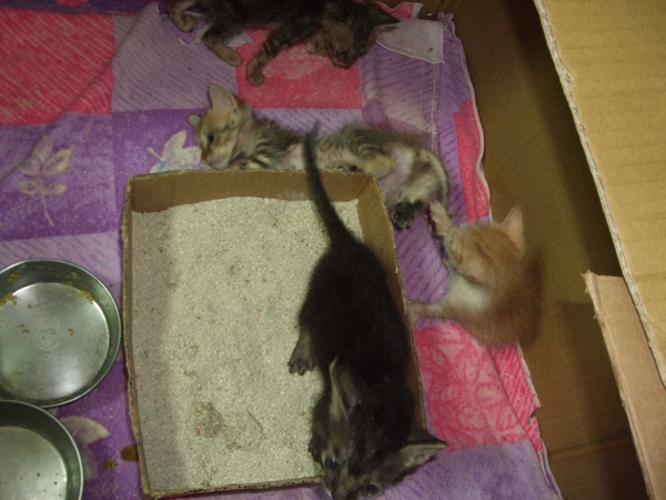 DSCF7073.jpg