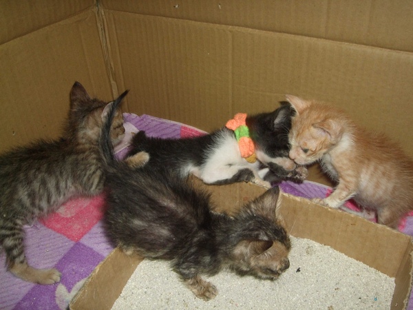 DSCF7075.jpg