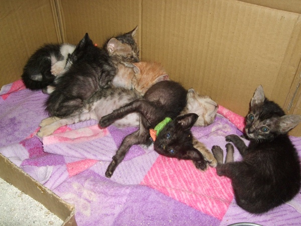 DSCF7085.jpg