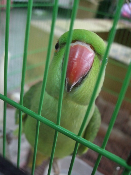 DSCF7066.jpg