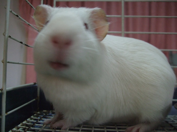 DSCF7055.jpg