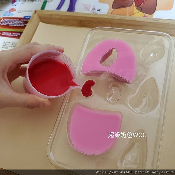 LINE_ALBUM_益科思團購_211210_33.jpg LINE_ALBUM_益科思團購_211210_33.jpg