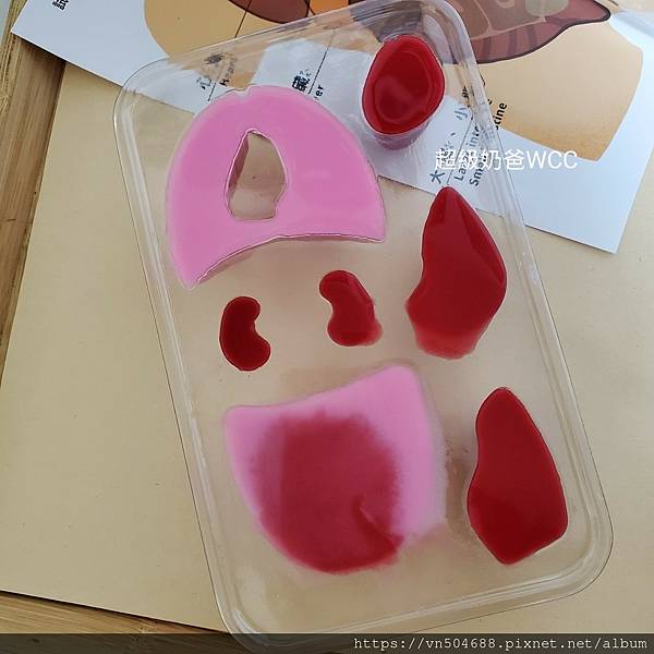 LINE_ALBUM_益科思團購_211210_34.jpg LINE_ALBUM_益科思團購_211210_34.jpg