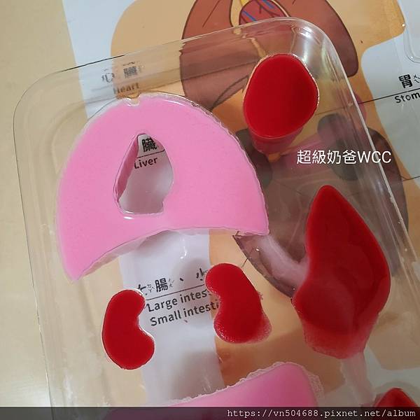 LINE_ALBUM_益科思團購_211210_36.jpg LINE_ALBUM_益科思團購_211210_36.jpg