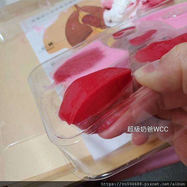 LINE_ALBUM_益科思團購_211210_41.jpg LINE_ALBUM_益科思團購_211210_41.jpg