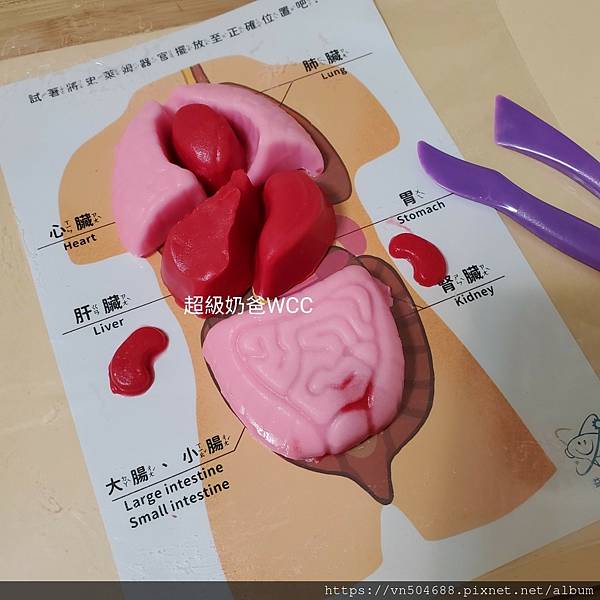 LINE_ALBUM_益科思團購_211210_39.jpg LINE_ALBUM_益科思團購_211210_39.jpg