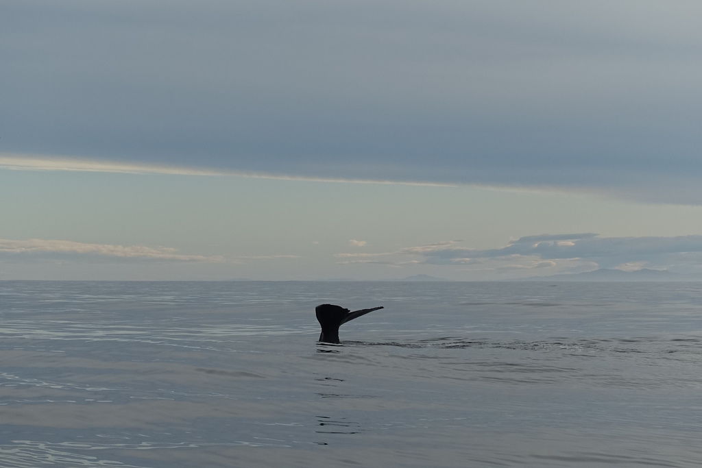 DSC04738.JPG DSC04738.JPG