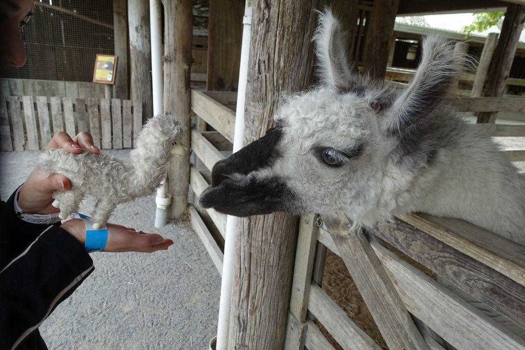 Willow Bank Reserve.JPG Willow Bank Reserve.JPG