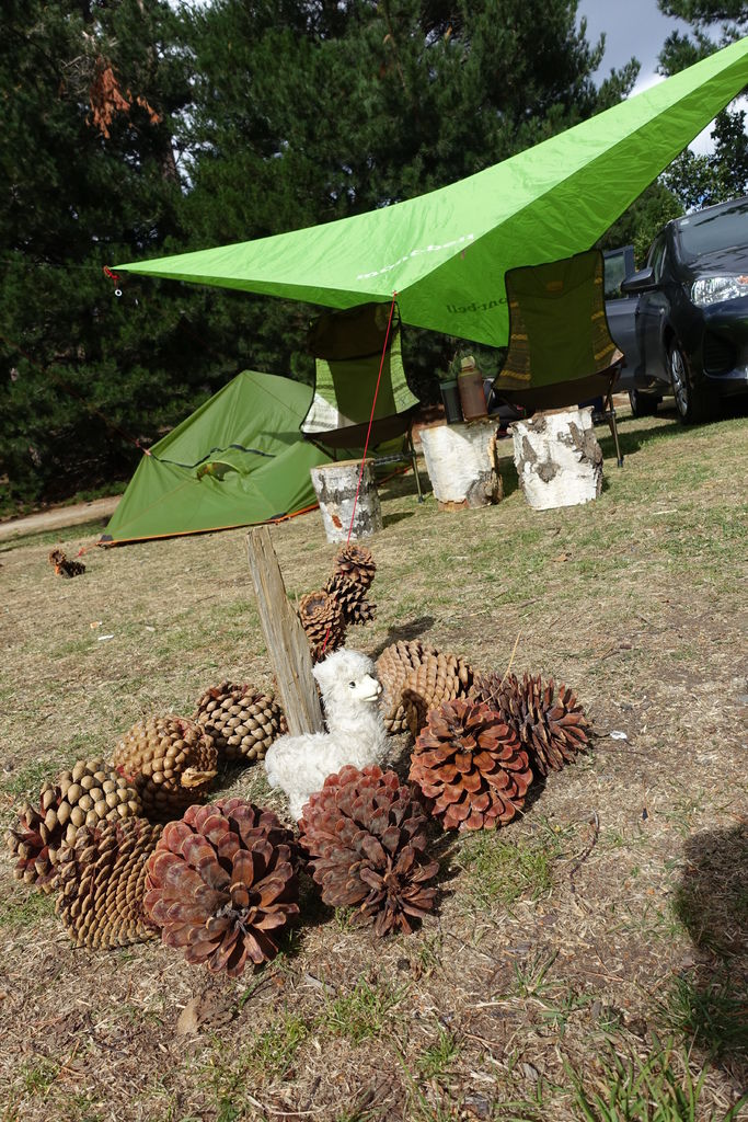 Lake Tekapo Holiday Homes.JPG