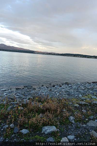 Lake Tekapo 沿湖邊走上Mount John