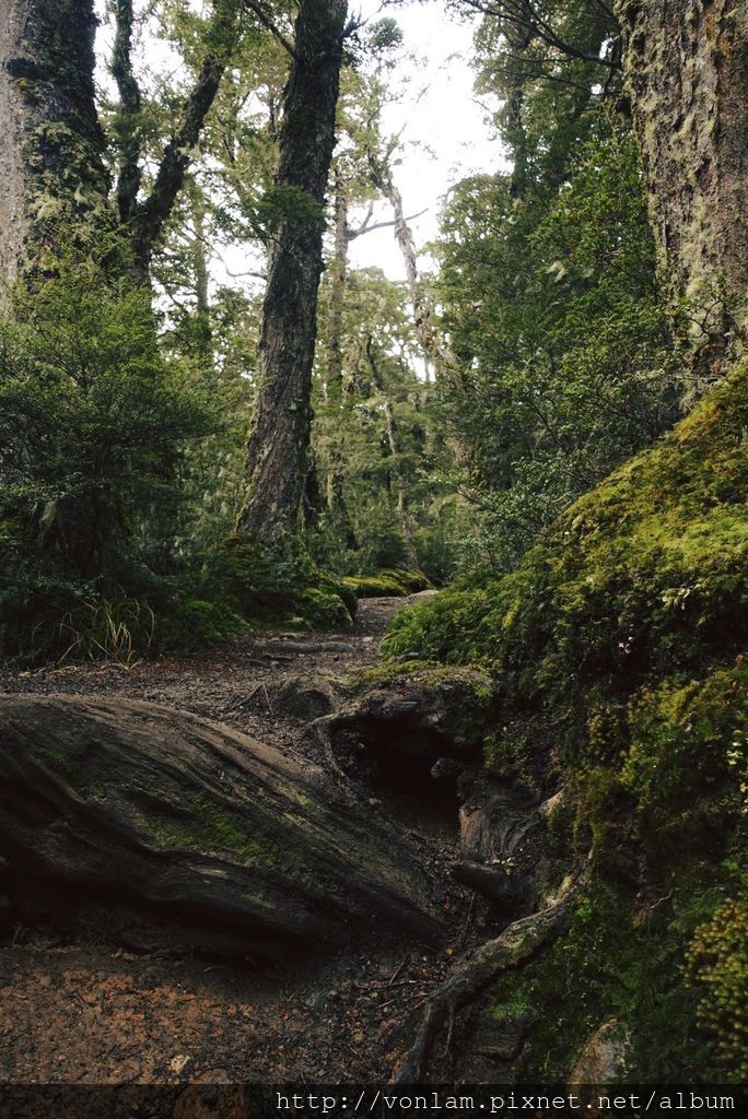 Kelper6.jpg Kelper6.jpg