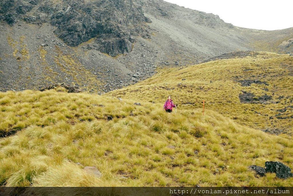 Kelper8.jpg Kelper8.jpg