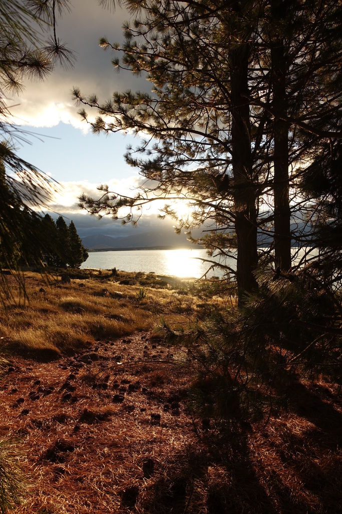 Lake Pukaki1.JPG