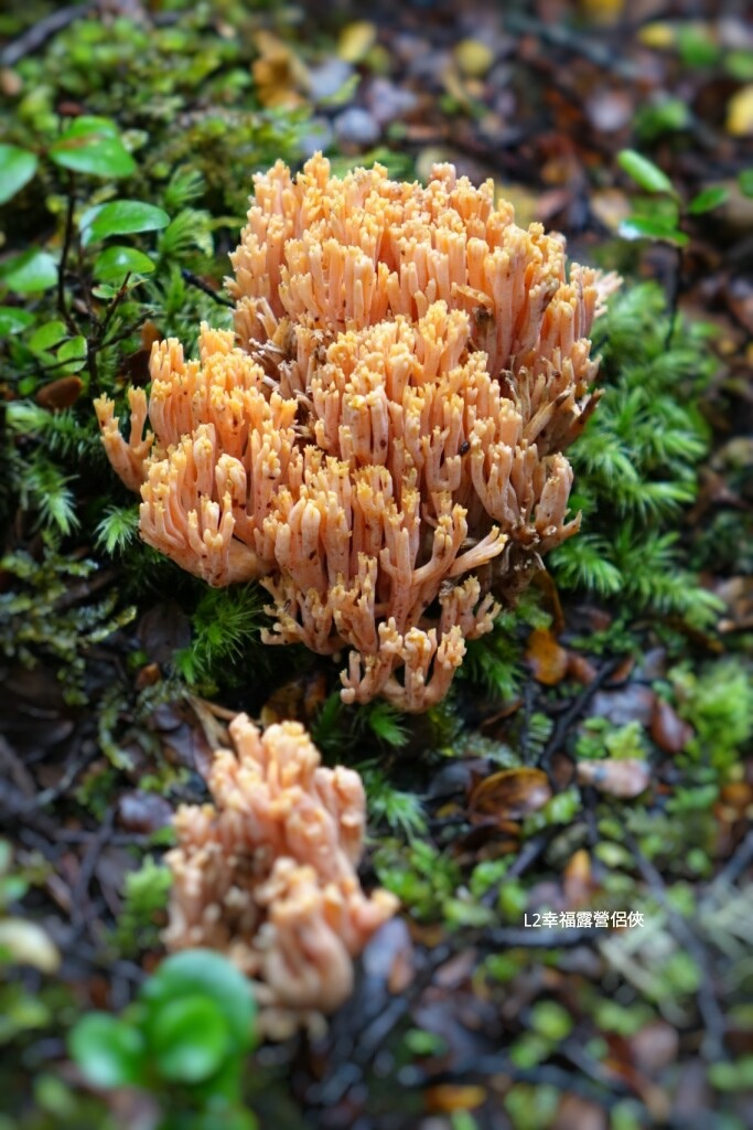 Fotor_147690092508842 Fotor_147690092508842