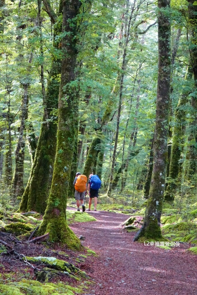 Fotor_147690106487124 Fotor_147690106487124