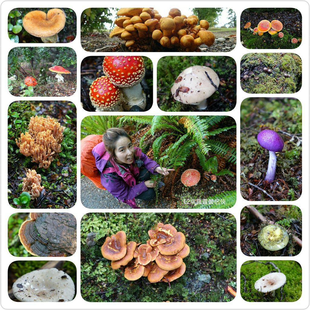 Fotor_147704387897632 Fotor_147704387897632