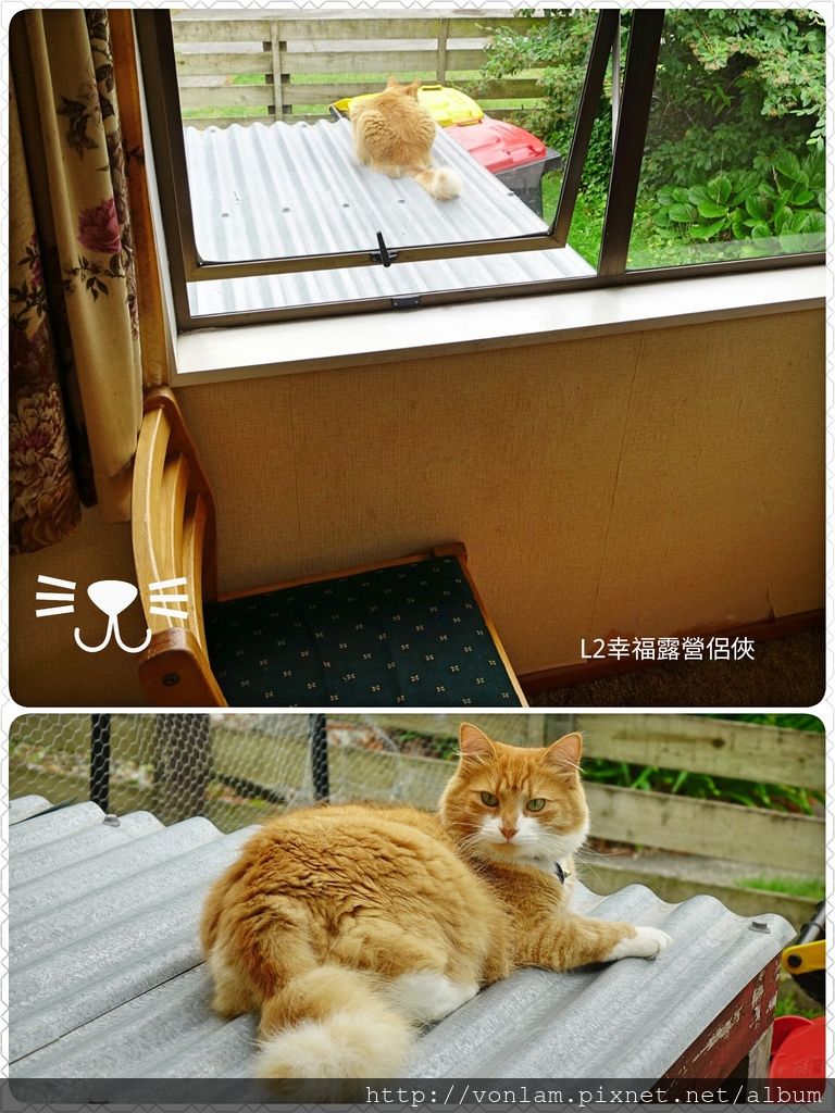 Fotor_148315655453162 Fotor_148315655453162