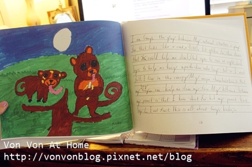 andre03.jpg andre03.jpg