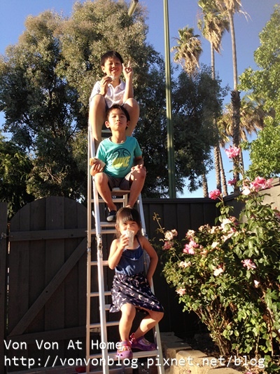 couson09.jpg couson09.jpg