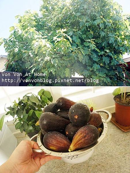 food05.jpg food05.jpg