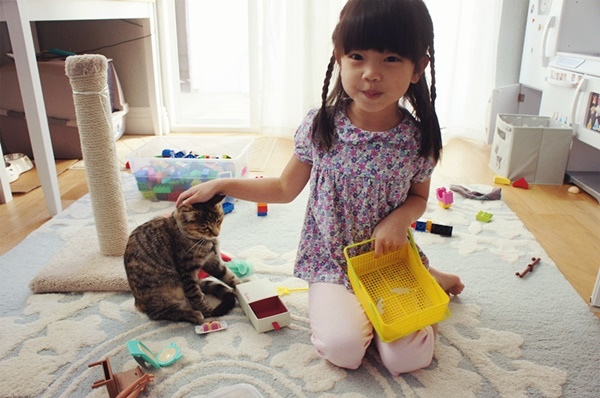 cat01.jpg cat01.jpg