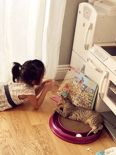 cat05.JPG cat05.JPG